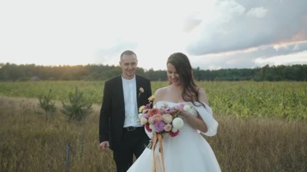 Lo sposo bacia la sposa in un abito chic con un delicato bouquet di dalie sul bordo di un campo di grano. — Video Stock