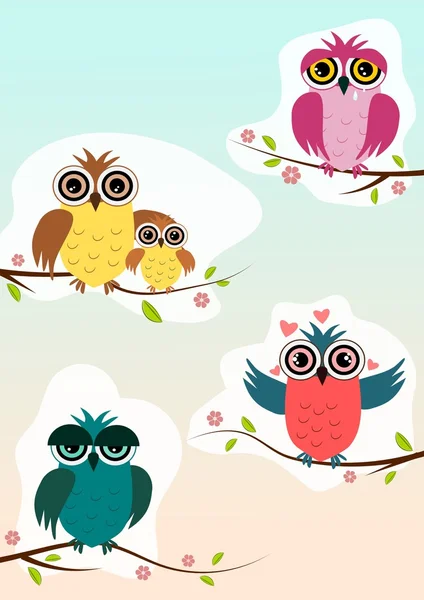 4 different owls sitting on a spring branch with different emotions — Stock Photo, Image