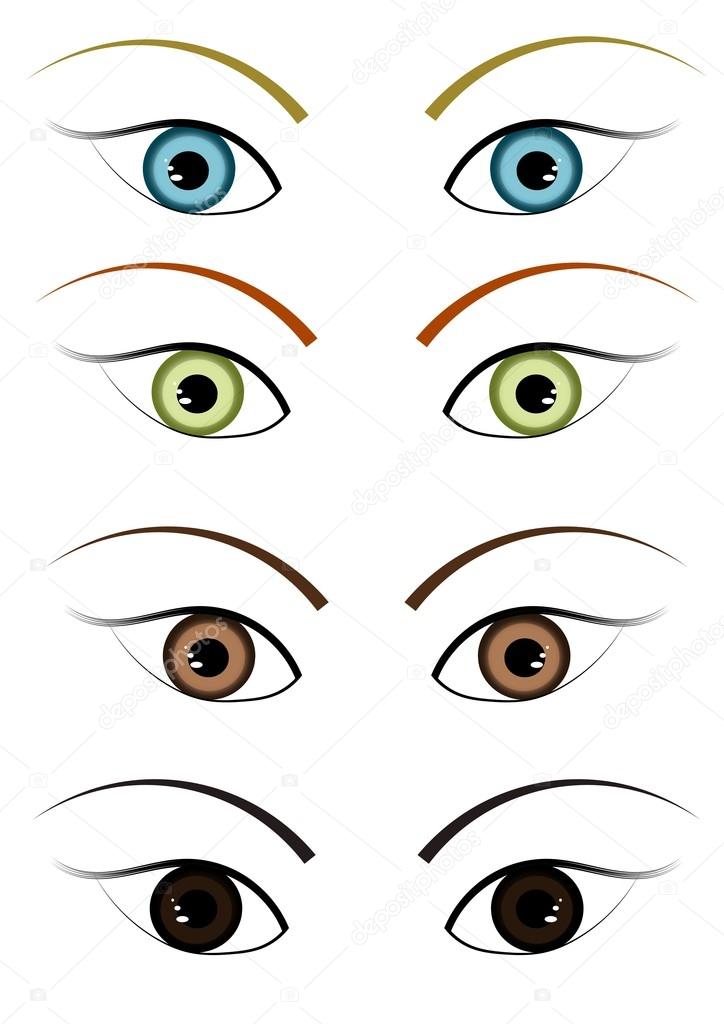 Illustration of the four different colour eyes