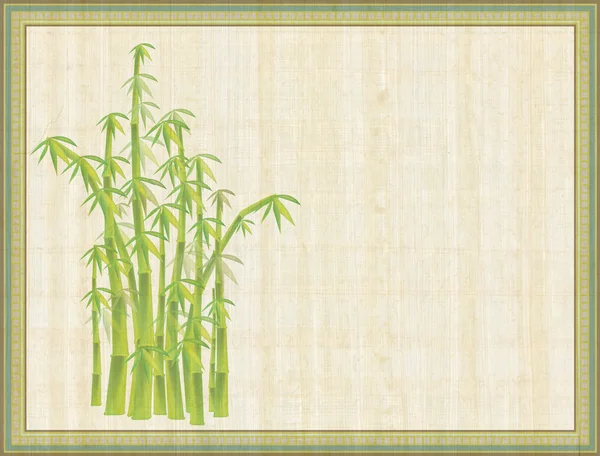 Старая бумага в рамке с бамбуковой веткой — стоковое фото