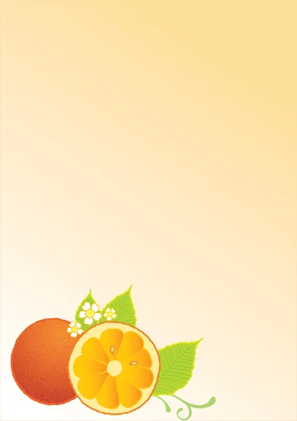 Background with orange and leaves in the bottom — Stock Photo, Image