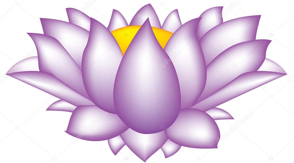 Illustration of lotus flower