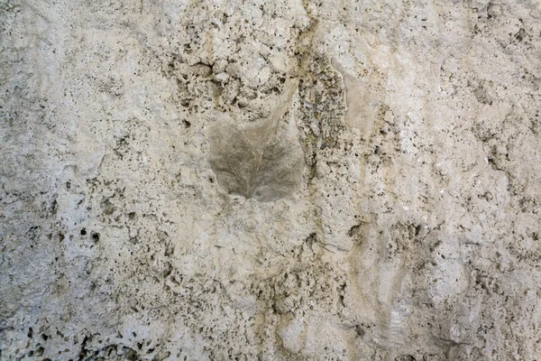 Het Impressum blad op cement vloer achtergrond — Stockfoto