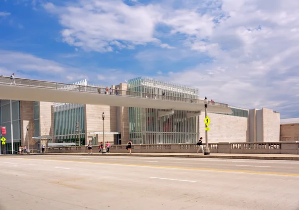 Das kunstinstitut von chicago — Stockfoto