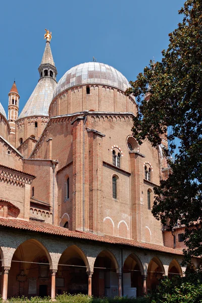 Basílica de Padua —  Fotos de Stock