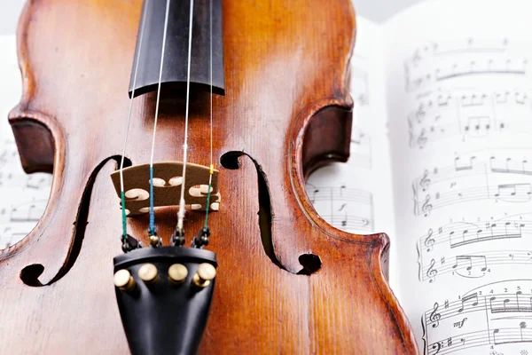 Gammel violin - Stock-foto