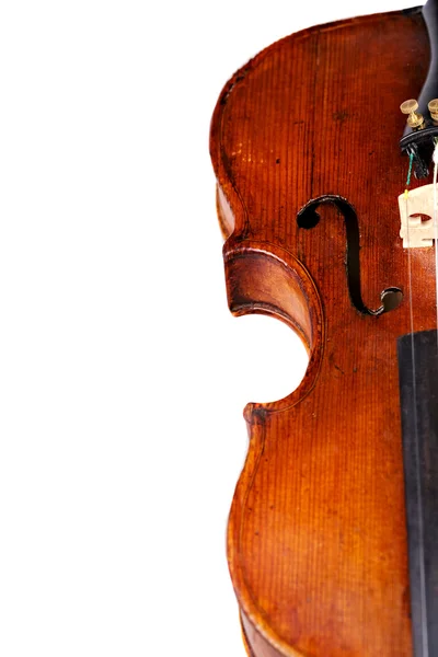 Violino em branco — Fotografia de Stock