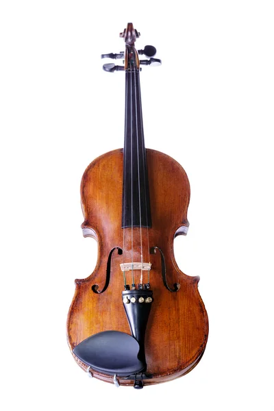 Violin på hvid - Stock-foto