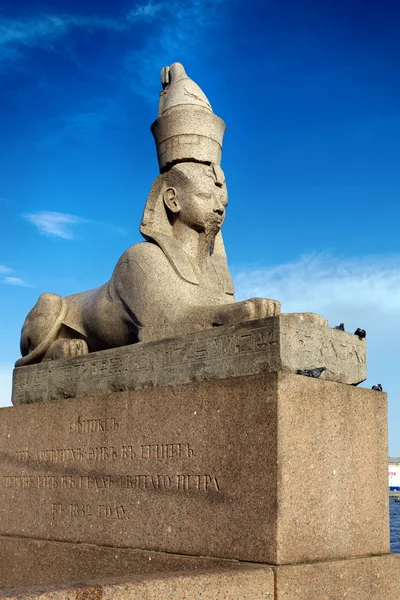Sphinx am Ufer der Newa — Stockfoto