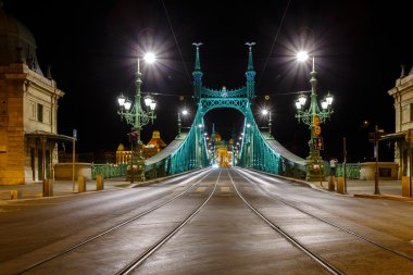  Budapeşte freedem Köprüsü