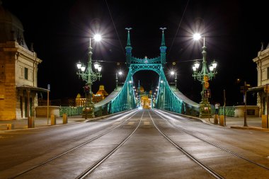  The Freedem bridge in Budapest clipart