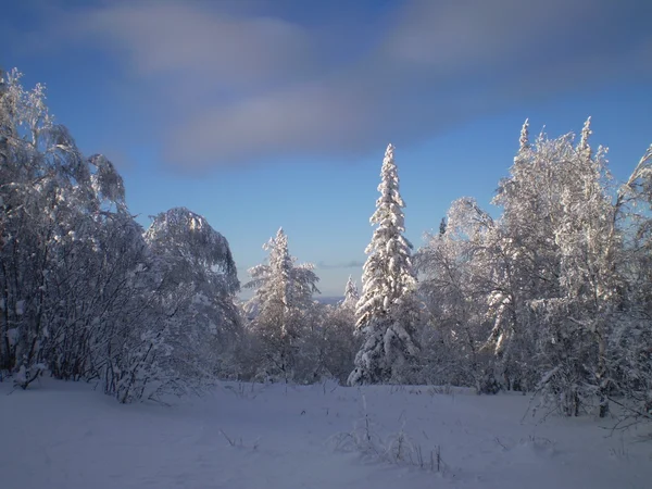 Inverno — Fotografia de Stock