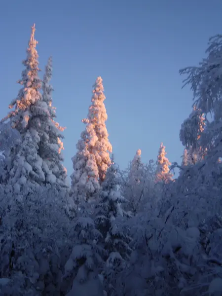 Vinter — Stockfoto