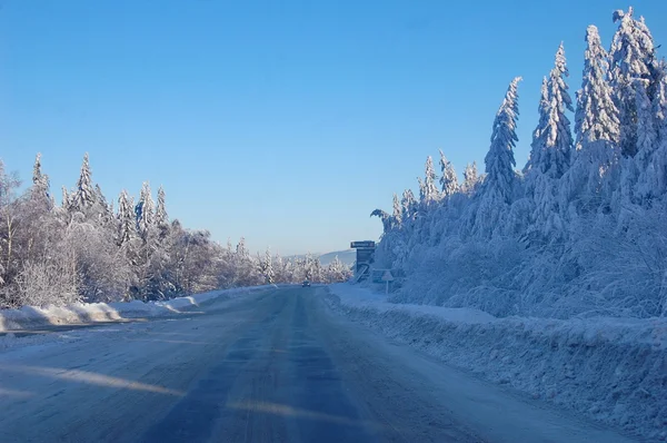 Winter — Stockfoto