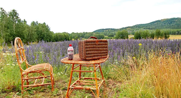 Provence Stockfoto