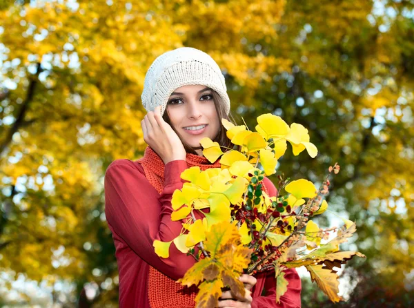 Aranyos barna egy-egy csokor, őszi levelek — Stock Fotó