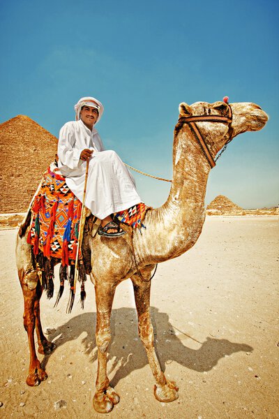 Funny Egyptian Bedouins