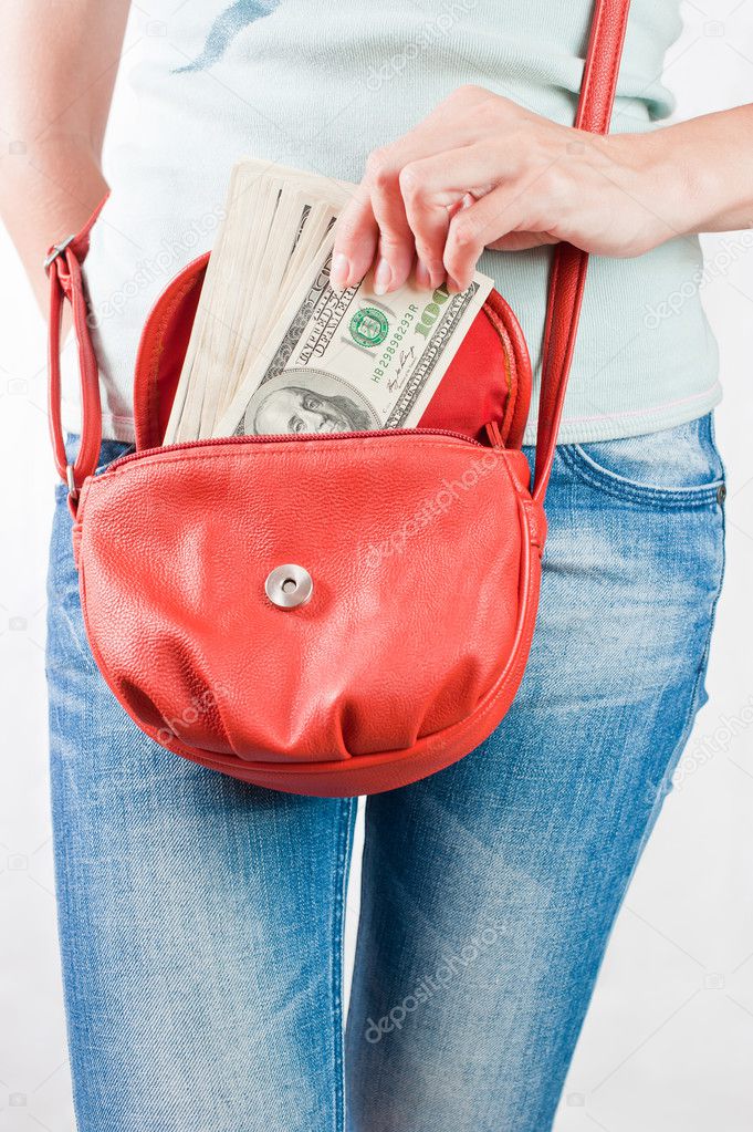 Money dollars in handbag