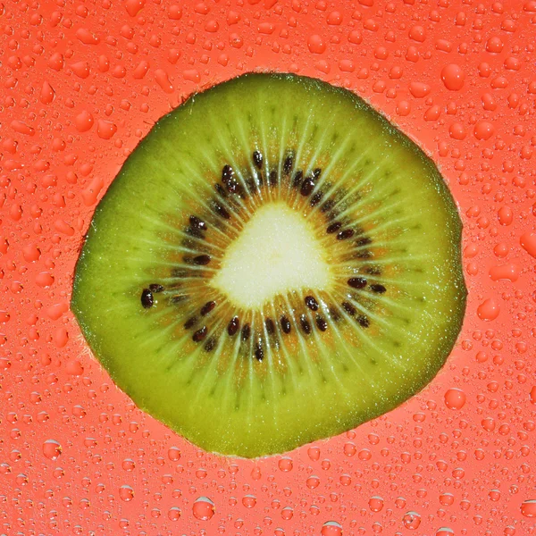 Felie proaspătă de fructe kiwi pe picături de fundal roșu — Fotografie, imagine de stoc