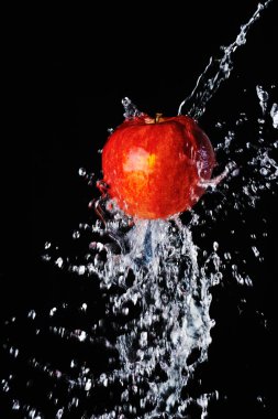 siyah zemin üzerine kırmızı elma su sıçrama