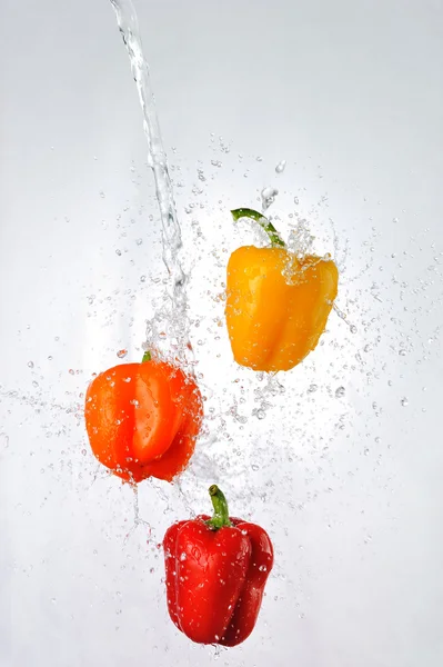 Peppers and water splash — Stock Photo, Image