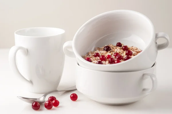 Flakes with cranberries on the white bowl — Stock Photo, Image