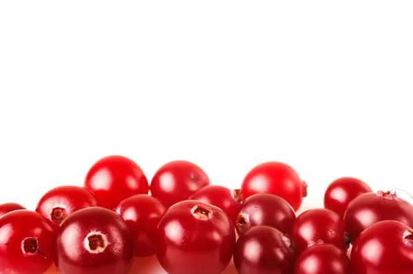 Ripe сranberries on a white background — Stock Photo, Image