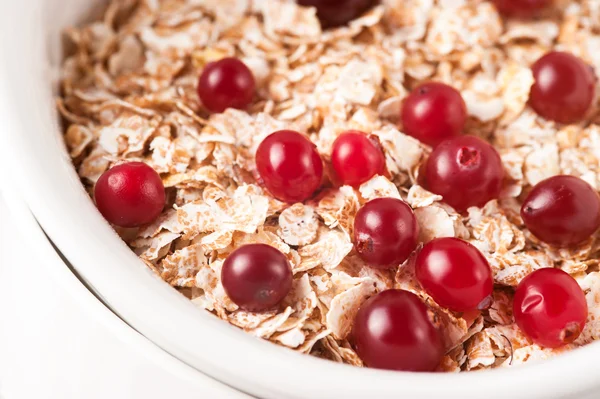 Flakes with cranberries on the white bowl — Stock Photo, Image