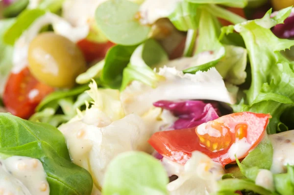 Salad with tomatoes, olives and herbs — Stock Photo, Image