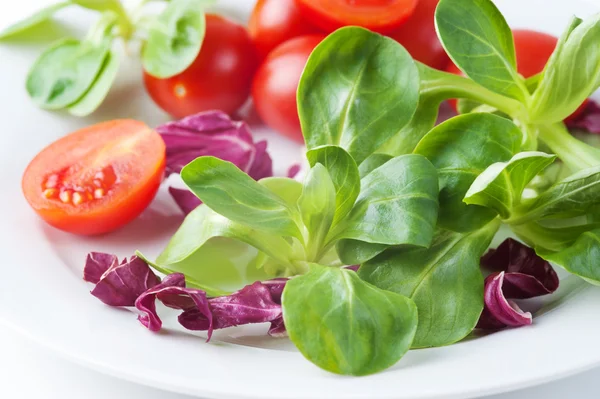 Tomaten en verse kruiden — Stockfoto