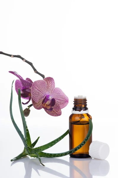 Herb leaf and Orchid flowers with an aromatherapy essential oil glass bottle — Stock Photo, Image