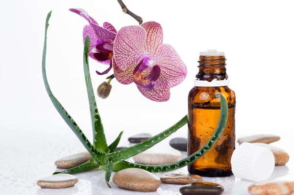 Herb leaf and Orchid flowers with an aromatherapy essential oil glass bottle — Stock Photo, Image