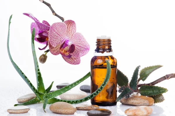 Kräuterblatt und Orchideenblüten mit einer Aromatherapie ätherisches Öl Glasflasche Stockbild