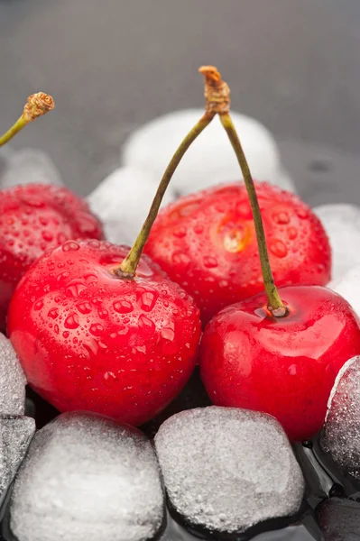 Cherries and ice cubes — Stock Photo, Image
