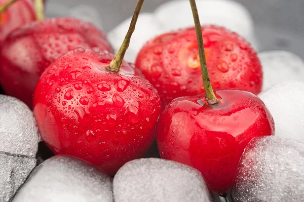 Cherries and ice cubes — Stock Photo, Image