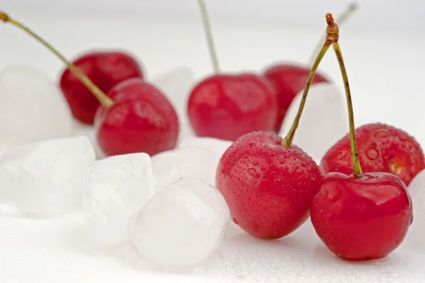 Cherries and ice cubes — Stock Photo, Image