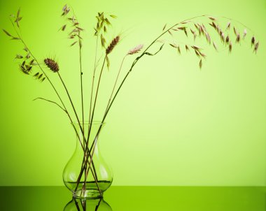 demet buğday sivri yeşil zemin üzerine vazo içinde