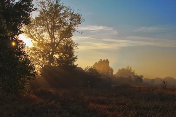 Herfst in het park — Stockfoto