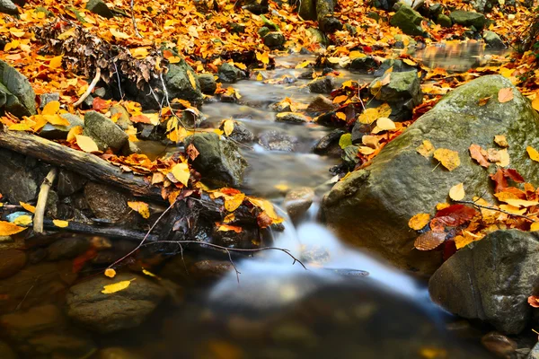 Podzimní krajina — Stock fotografie