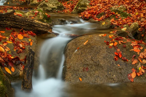 Podzimní krajina — Stock fotografie