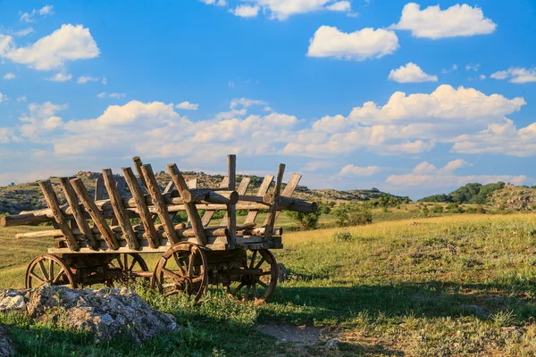 Barrow ve çayır — Stok fotoğraf