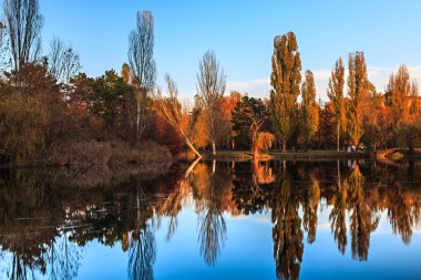 Göl ile sonbahar park