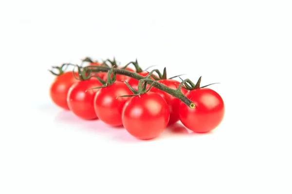 新鲜番茄 图库图片