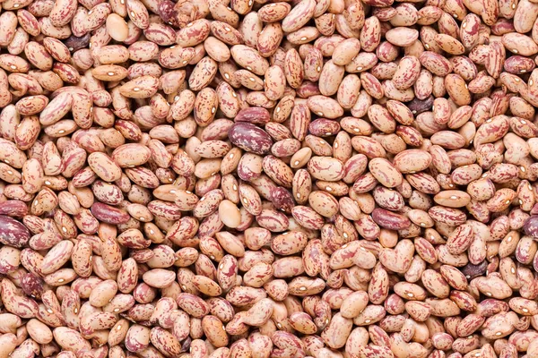 Seamless texture of haricot beans — Stock Photo, Image