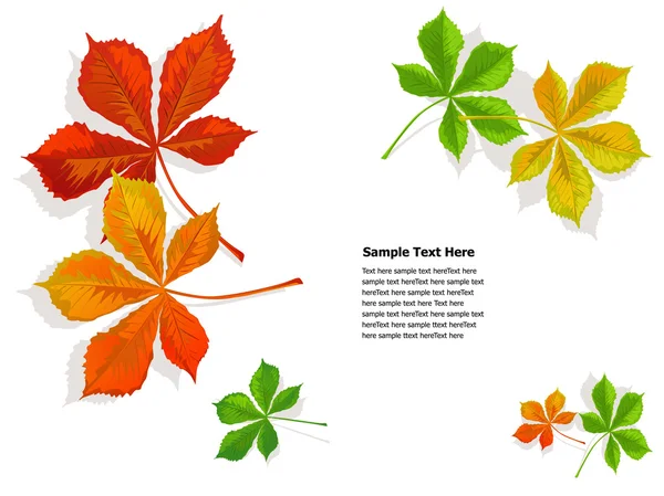 Caída hojas de castañas de colores — Vector de stock