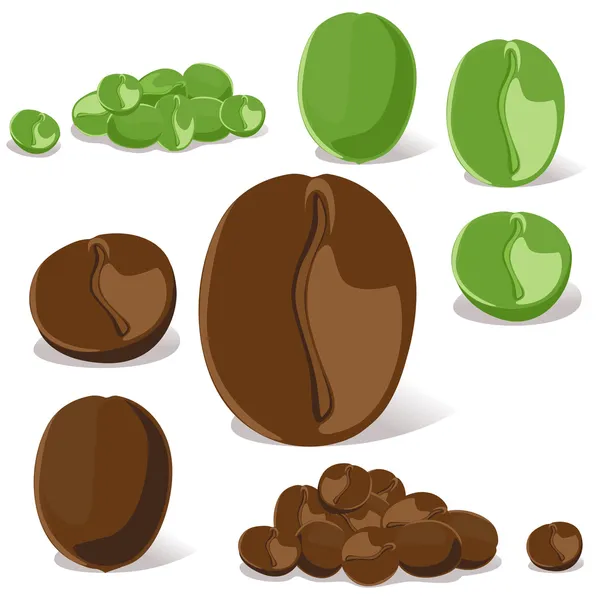 Grano de café — Vector de stock