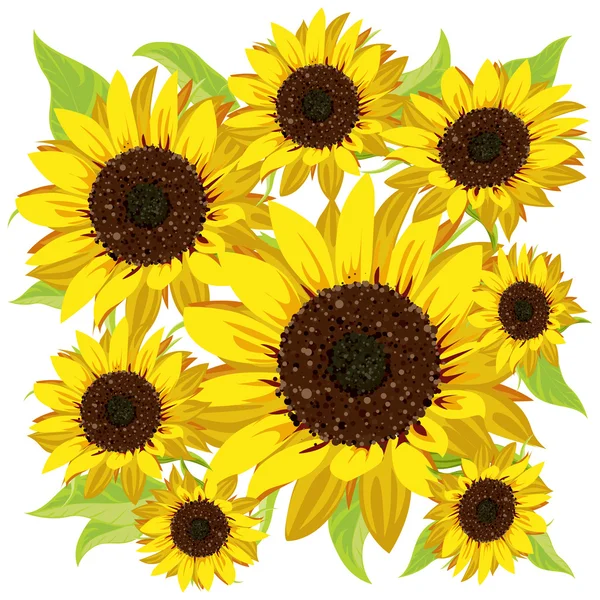 Pola bunga matahari - Stok Vektor