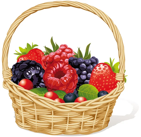 Basket with berries — Stock Vector