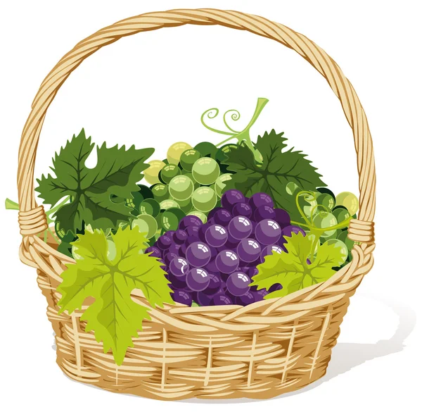 Wine basket — Stock Vector