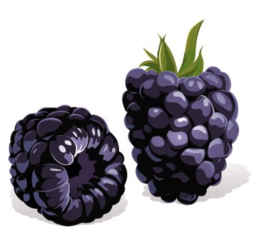 Free Free Blackberry Fruit Svg 541 SVG PNG EPS DXF File